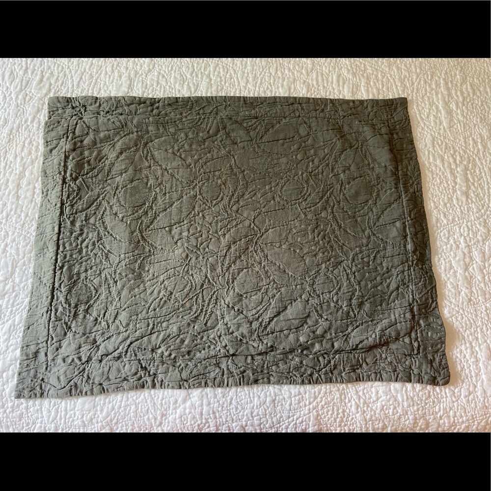 Two Pottery Barn Quilted Shams
